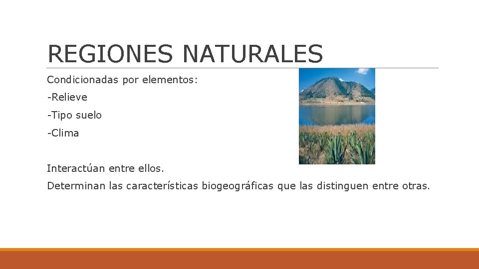 REGIONES NATURALES Condicionadas por elementos: -Relieve -Tipo suelo -Clima Interactúan entre ellos. Determinan las