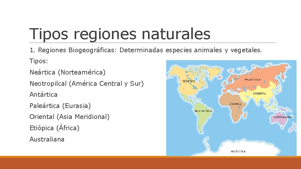 Tipos regiones naturales 1. Regiones Biogeográficas: Determinadas especies animales y vegetales. Tipos: Neártica (Norteamérica)