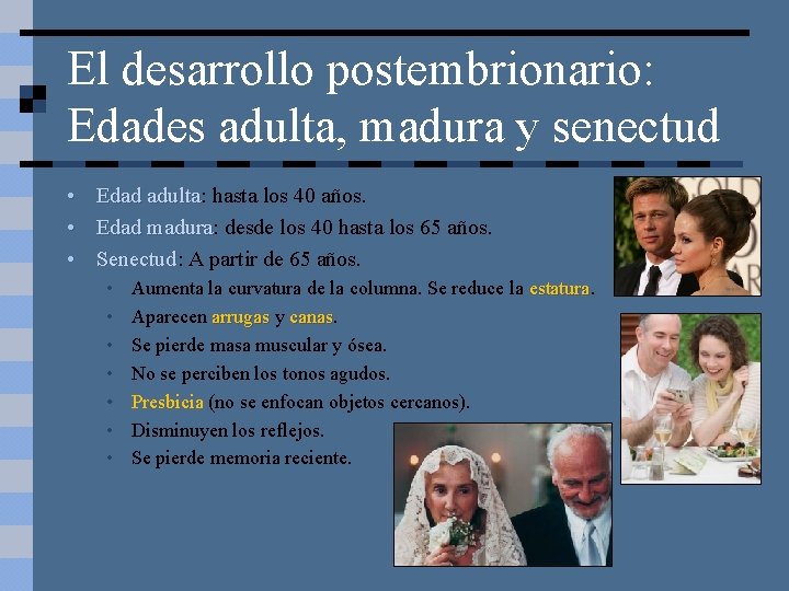 El desarrollo postembrionario: Edades adulta, madura y senectud • Edad adulta: adulta hasta los