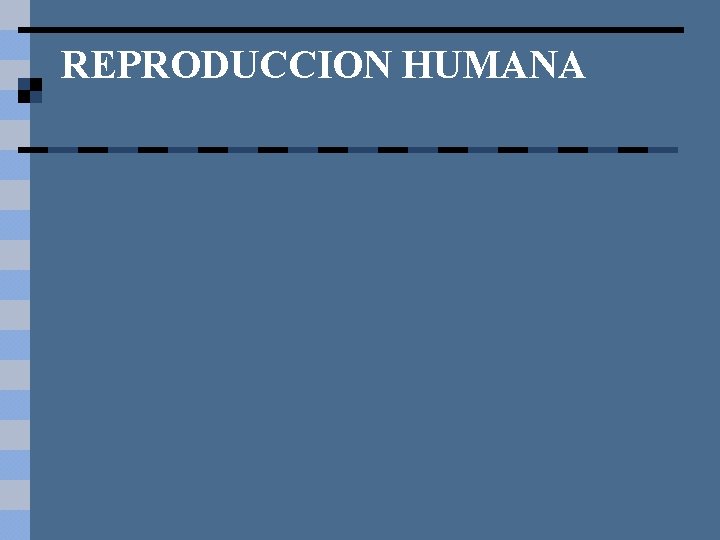 REPRODUCCION HUMANA 