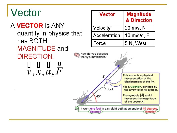 Vector A VECTOR is ANY quantity in physics that has BOTH MAGNITUDE and DIRECTION.