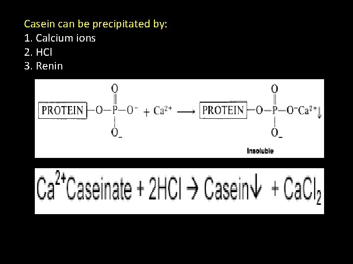 Casein can be precipitated by: 1. Calcium ions 2. HCl 3. Renin 4. Bacteria