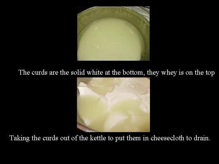 The curds are the solid white at the bottom, they whey is on the