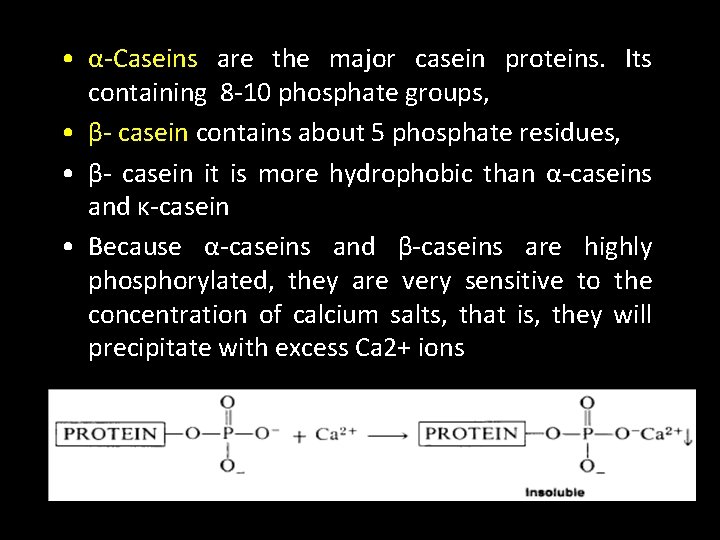  • α-Caseins are the major casein proteins. Its containing 8 -10 phosphate groups,