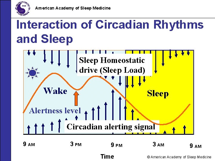 American Academy of Sleep Medicine Interaction of Circadian Rhythms and Sleep Homeostatic drive (Sleep