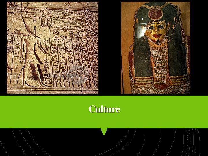 Culture 