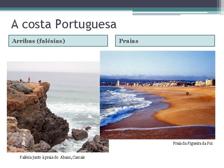 A costa Portuguesa Arribas (falésias) Praias Praia da Figueira da Foz Falésia junto à