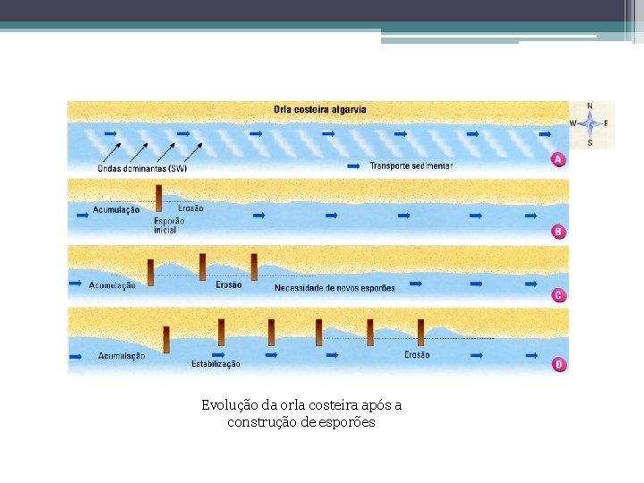 Evolução da orla costeira após a construção de esporões 