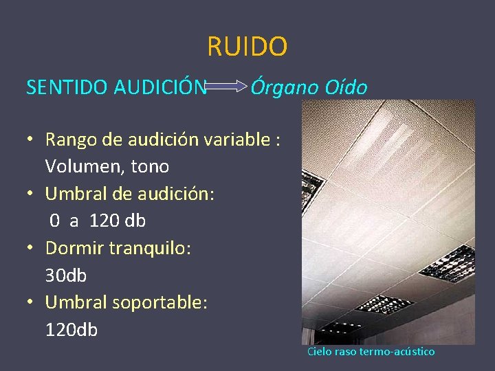 RUIDO SENTIDO AUDICIÓN Órgano Oído • Rango de audición variable : Volumen, tono •
