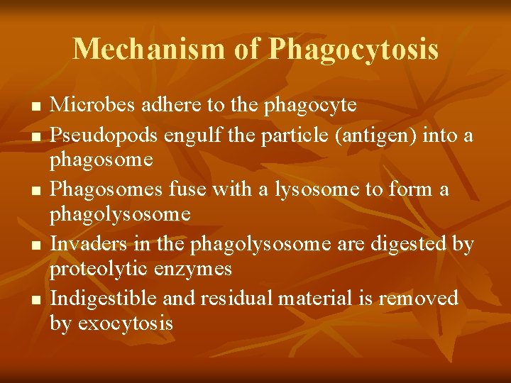 Mechanism of Phagocytosis n n n Microbes adhere to the phagocyte Pseudopods engulf the