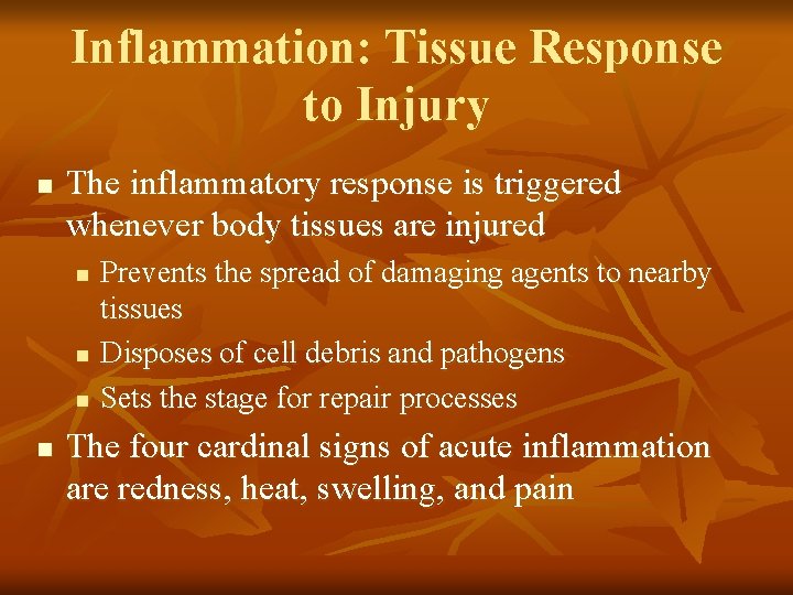 Inflammation: Tissue Response to Injury n The inflammatory response is triggered whenever body tissues