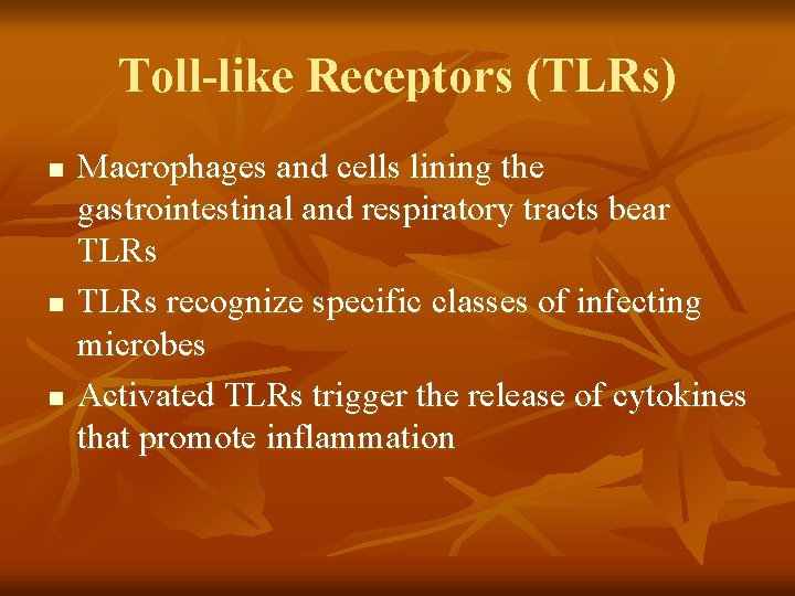 Toll-like Receptors (TLRs) n n n Macrophages and cells lining the gastrointestinal and respiratory