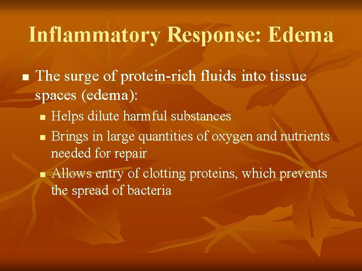 Inflammatory Response: Edema n The surge of protein-rich fluids into tissue spaces (edema): n