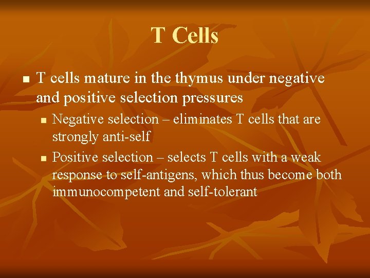 T Cells n T cells mature in the thymus under negative and positive selection