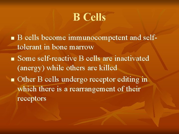 B Cells n n n B cells become immunocompetent and selftolerant in bone marrow