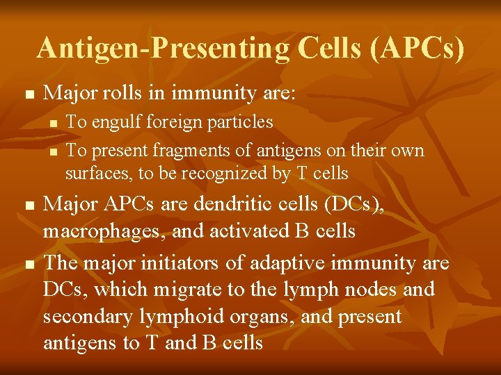 Antigen-Presenting Cells (APCs) n Major rolls in immunity are: n n To engulf foreign