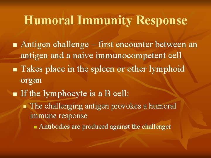 Humoral Immunity Response n n n Antigen challenge – first encounter between an antigen