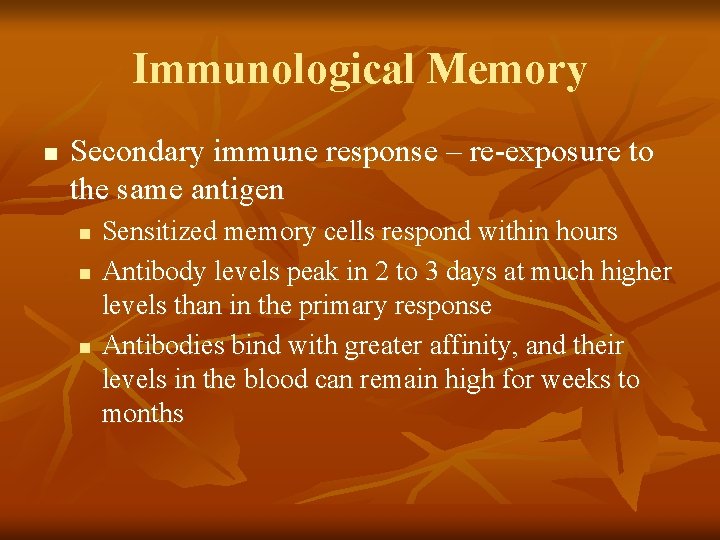 Immunological Memory n Secondary immune response – re-exposure to the same antigen n Sensitized