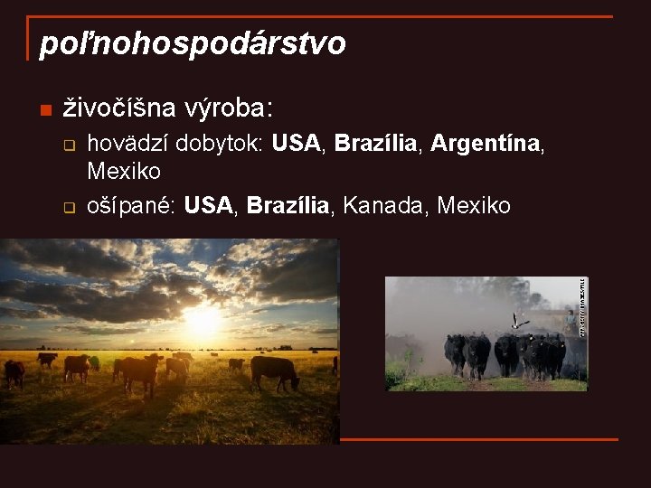poľnohospodárstvo n živočíšna výroba: q q hovädzí dobytok: USA, Brazília, Argentína, Mexiko ošípané: USA,