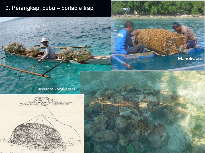 3. Perangkap, bubu – portable trap Manokwari Purwanto - Wakatobi 