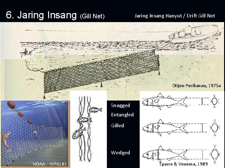 6. Jaring Insang (Gill Net) Jaring Insang Hanyut / Drift Gill Net Ditjen Perikanan,