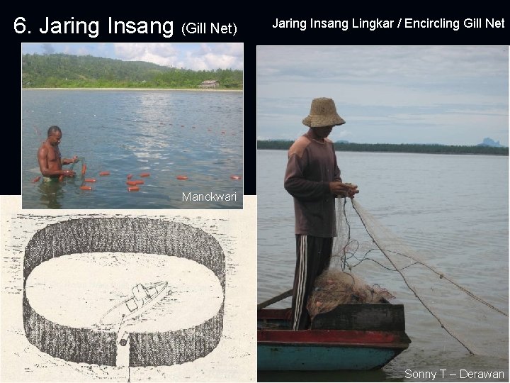 6. Jaring Insang (Gill Net) Jaring Insang Lingkar / Encircling Gill Net Manokwari Sonny