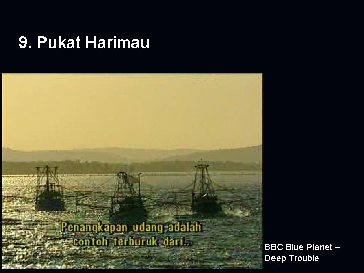 9. Pukat Harimau BBC Blue Planet – Deep Trouble 