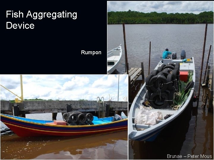 Fish Aggregating Device Rumpon Brunae – Peter Mous 