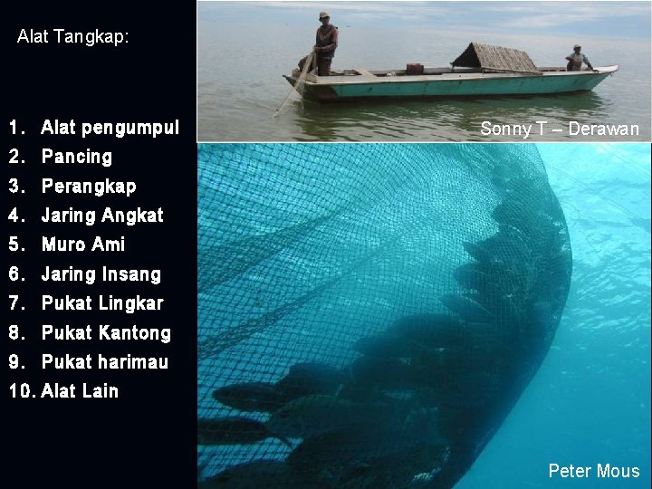 Alat Tangkap: 1. Alat pengumpul Sonny T – Derawan 2. Pancing 3. Perangkap 4.