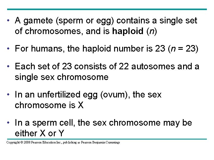  • A gamete (sperm or egg) contains a single set of chromosomes, and