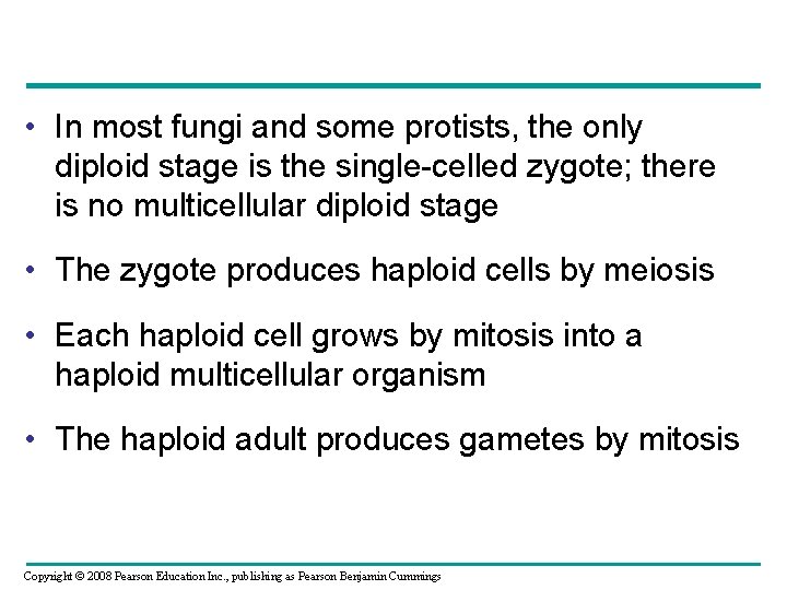  • In most fungi and some protists, the only diploid stage is the