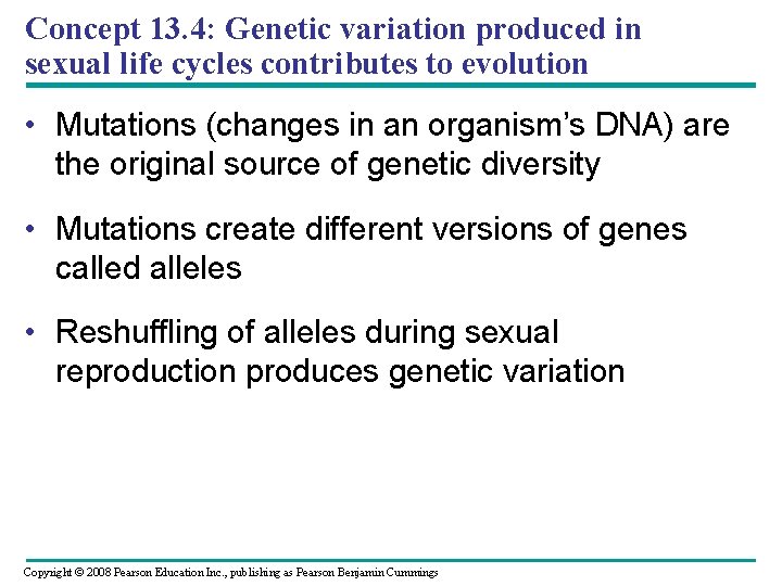 Concept 13. 4: Genetic variation produced in sexual life cycles contributes to evolution •