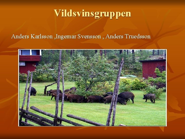 Vildsvinsgruppen Anders Karlsson , Ingemar Svensson , Anders Truedsson 