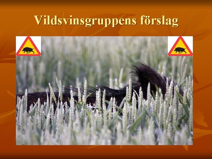 Vildsvinsgruppens förslag 