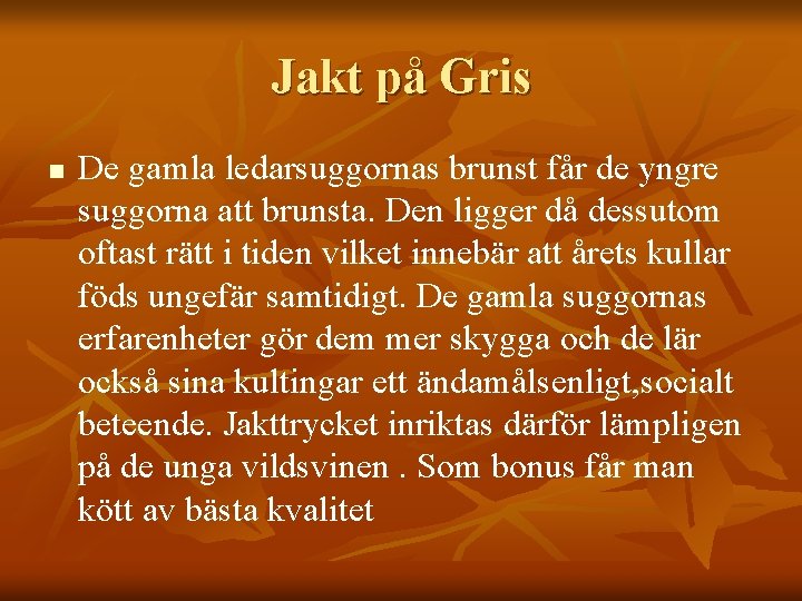 Jakt på Gris n De gamla ledarsuggornas brunst får de yngre suggorna att brunsta.