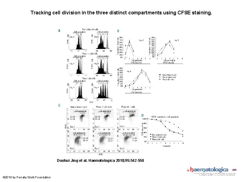 Tracking cell division in the three distinct compartments using CFSE staining. Duohui Jing et
