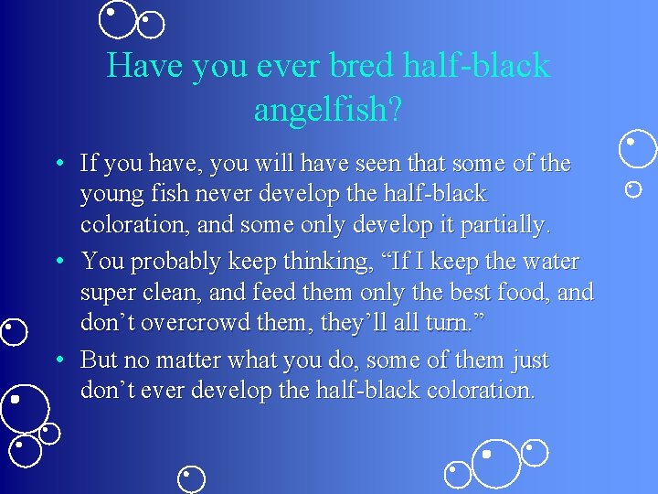 Have you ever bred half-black angelfish? • If you have, you will have seen