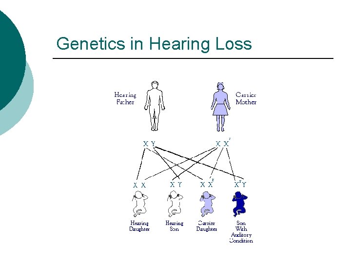 Genetics in Hearing Loss 