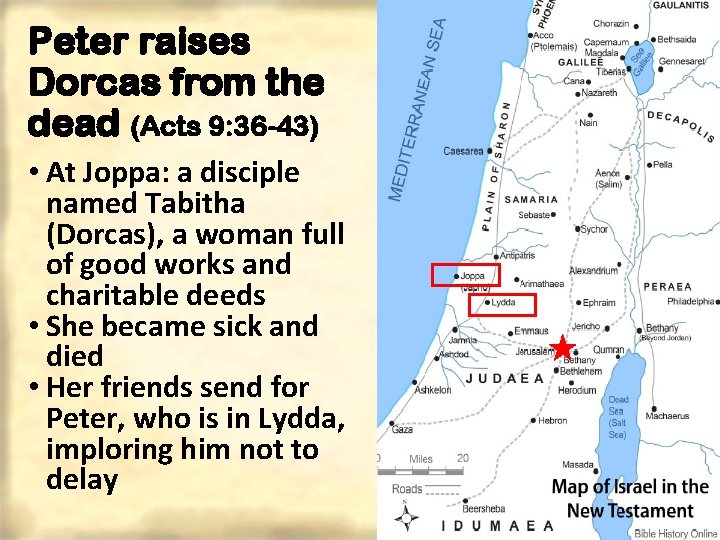 Peter raises Dorcas from the dead (Acts 9: 36 -43) • At Joppa: a