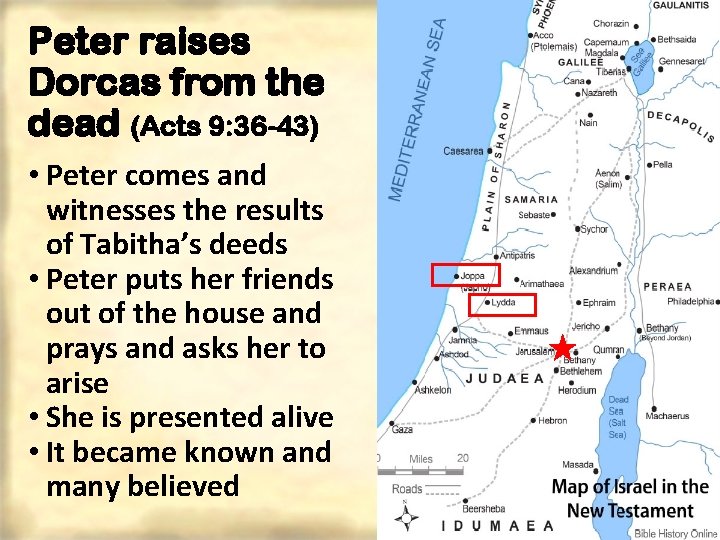 Peter raises Dorcas from the dead (Acts 9: 36 -43) • Peter comes and