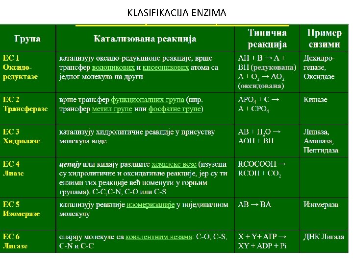 KLASIFIKACIJA ENZIMA 