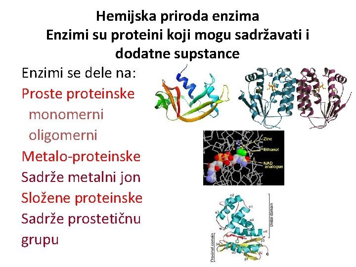 Hemijska priroda enzima Enzimi su proteini koji mogu sadržavati i dodatne supstance Enzimi se