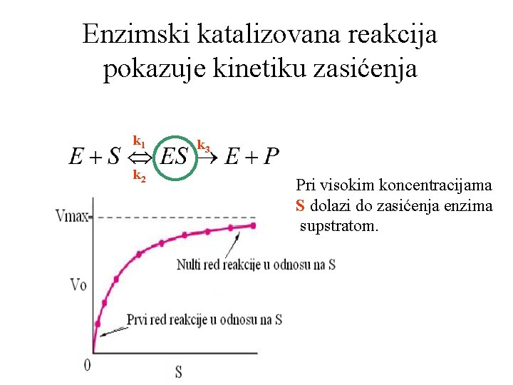 Enzimski katalizovana reakcija pokazuje kinetiku zasićenja k 1 k 2 k 3 Pri visokim