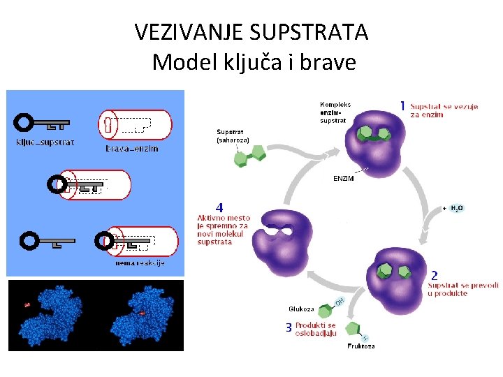 VEZIVANJE SUPSTRATA Model ključa i brave 