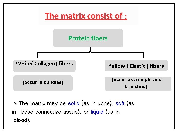 The matrix consist of : Protein fibers White( Collagen) fibers Yellow ( Elastic )