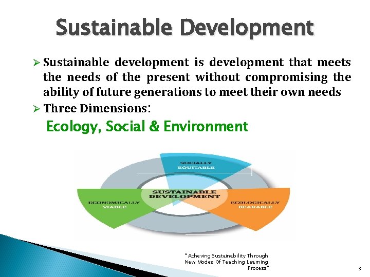 Sustainable Development Ø Sustainable development is development that meets the needs of the present