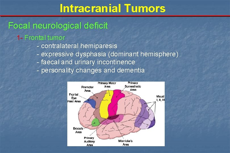 Intracranial Tumors Focal neurological deficit 1 - Frontal tumor - contralateral hemiparesis - expressive