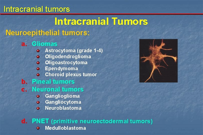 Intracranial tumors Intracranial Tumors Neuroepithelial tumors: a. Gliomas Astrocytoma (grade 1 -4) Oligodendroglioma Oligoastrocytoma