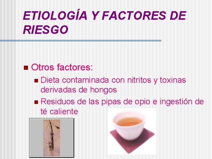 ETIOLOGÍA Y FACTORES DE RIESGO n Otros factores: Dieta contaminada con nitritos y toxinas