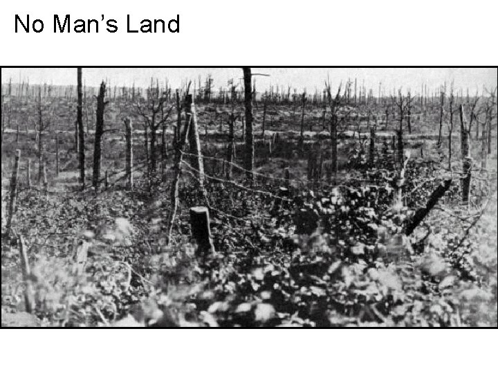 No Man’s Land 